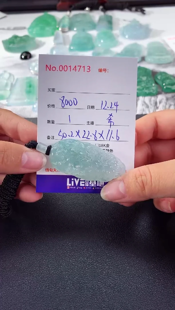 颈饰未镶嵌翡翠龙牌