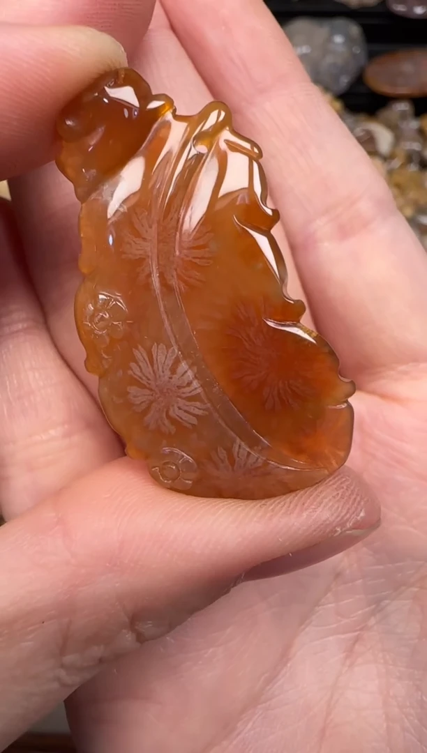 硅化珊瑚（珊瑚玉）未镶嵌颈饰314