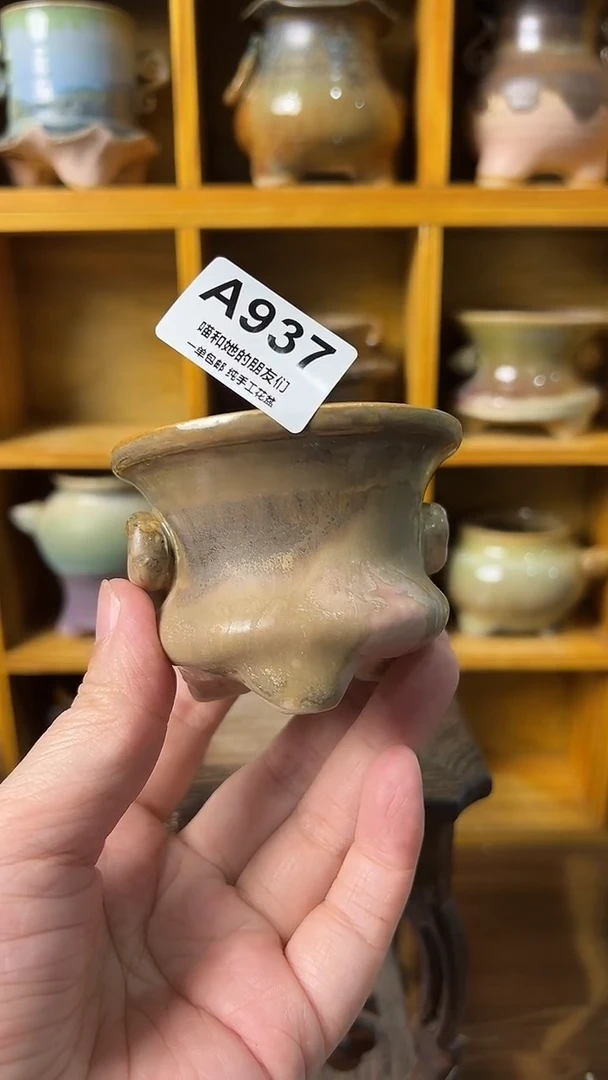 937 内口6【多肉花盆多肉盆】