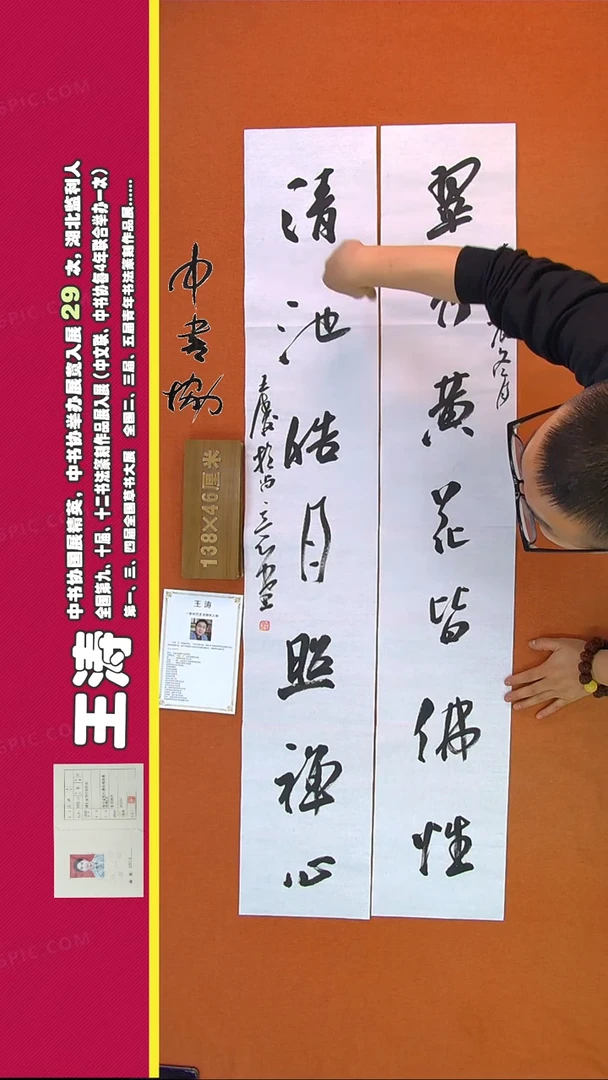 【闪购商品】书法313A王涛书法作品