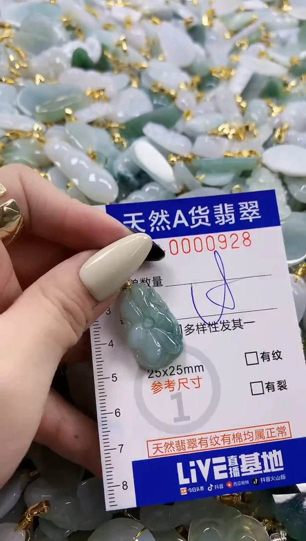 颈饰未镶嵌翡翠天然A货翡翠
