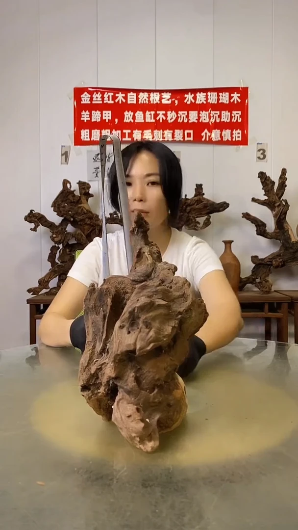 香榧木纯*劍金丝红木   羊蹄甲