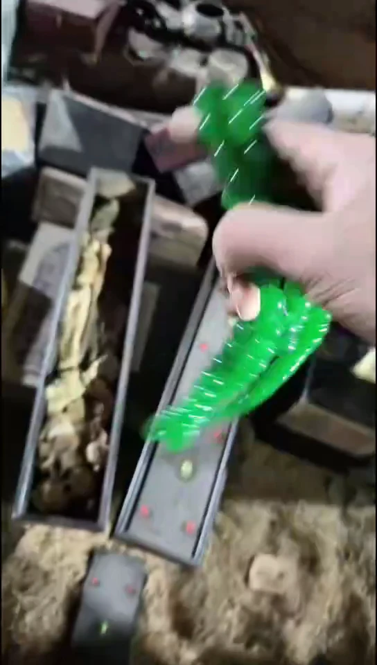 香榧木（1个绿色长串0