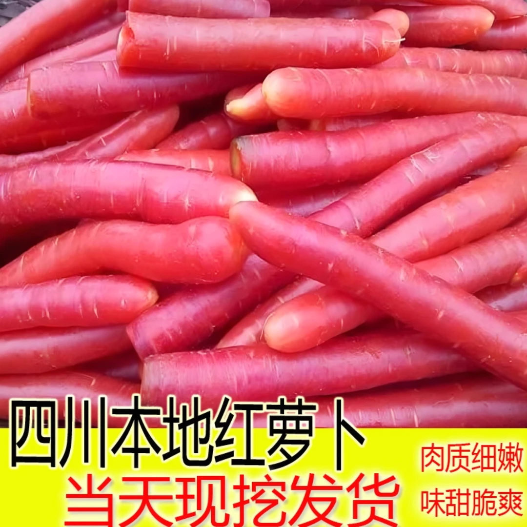 四川老品种新鲜红萝卜生吃沙地水果红胡萝卜红心甜萝卜农家自种