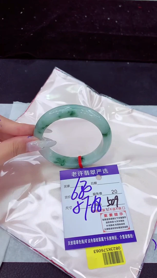 未镶嵌手镯翡翠1