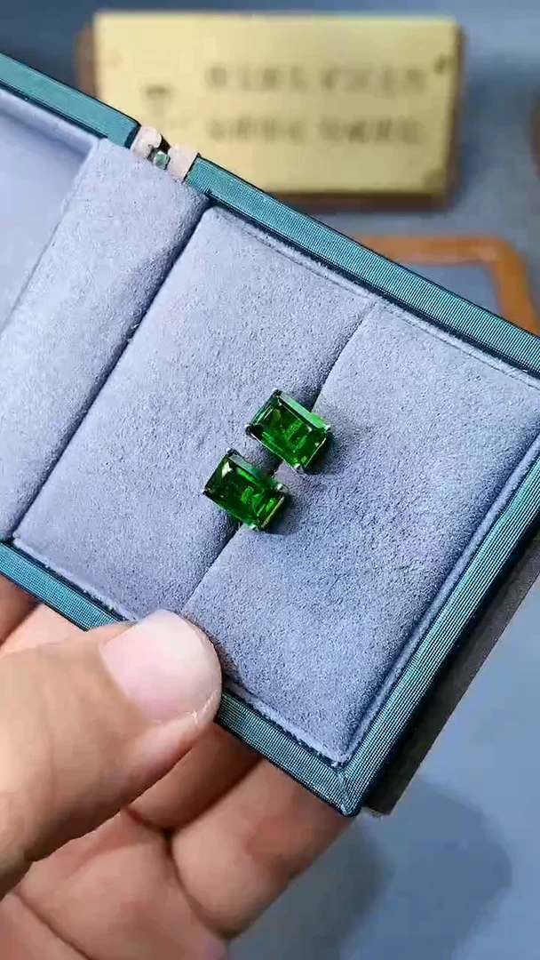 【闪购商品】透辉石耳饰银S925镶嵌1564