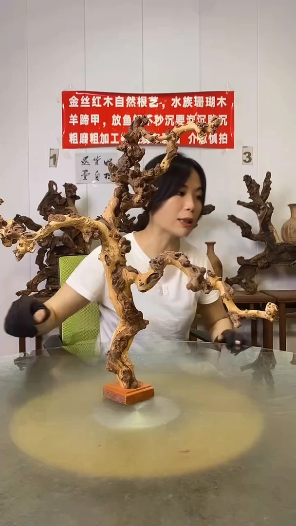 香榧木唐*映金丝红木   羊蹄甲