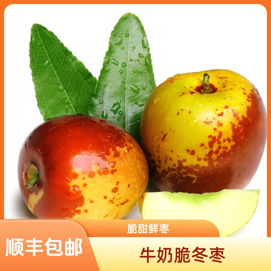 新疆库尔勒牛奶脆冬枣3斤脆甜鲜枣 自然成熟皮薄