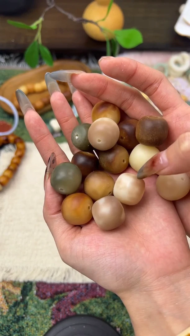 手串菩提根/象牙果卡20桶珠手串20颗瑕疵1007