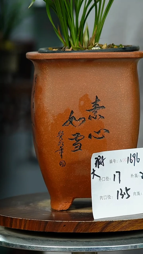 紫砂花盆1696 瑕 紫砂花盆紫砂