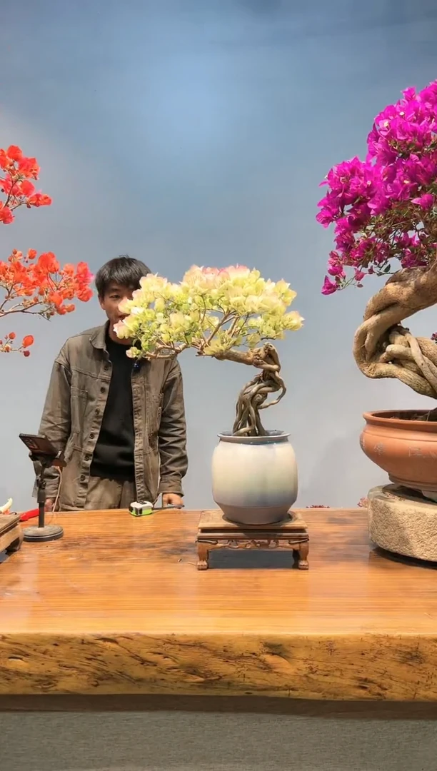 【闪购商品】AA911