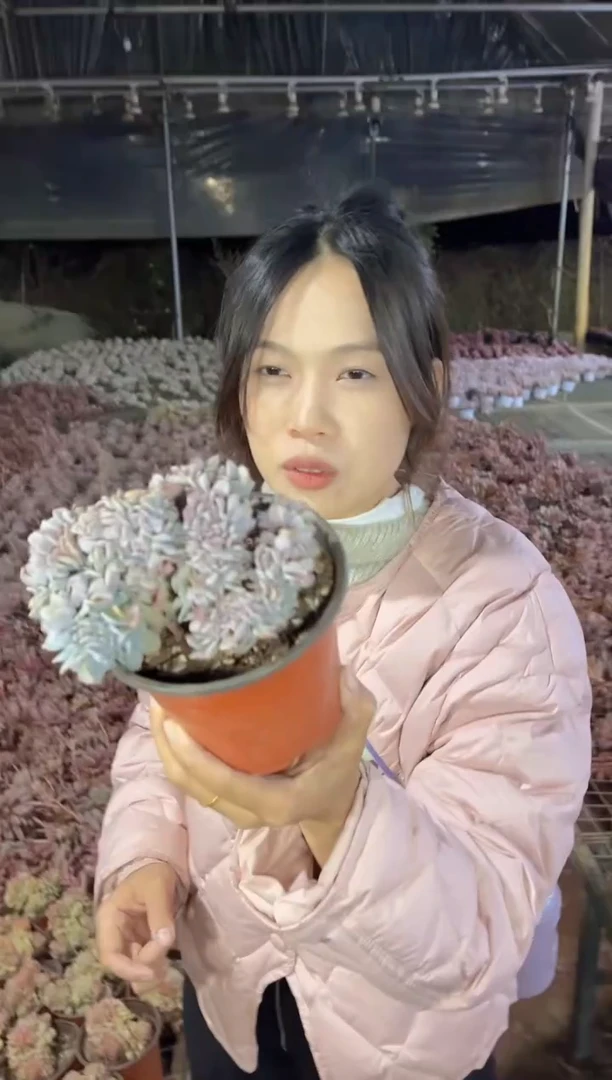 【闪购商品】56-蓝色缀