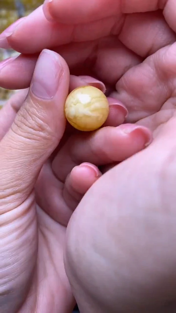 未镶嵌蜜蜡裸石葵.61