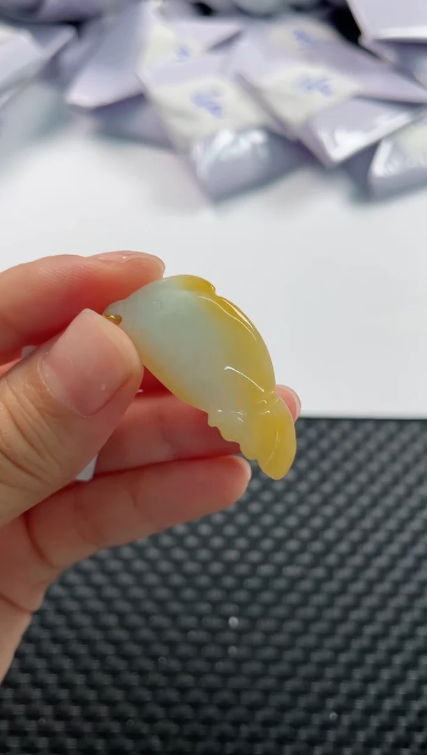 颈饰未镶嵌翡翠2463