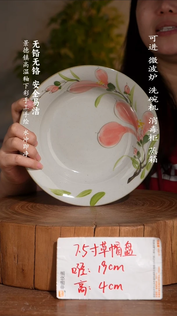 碗瓷景德镇高温瓷釉下彩手绘陶瓷
