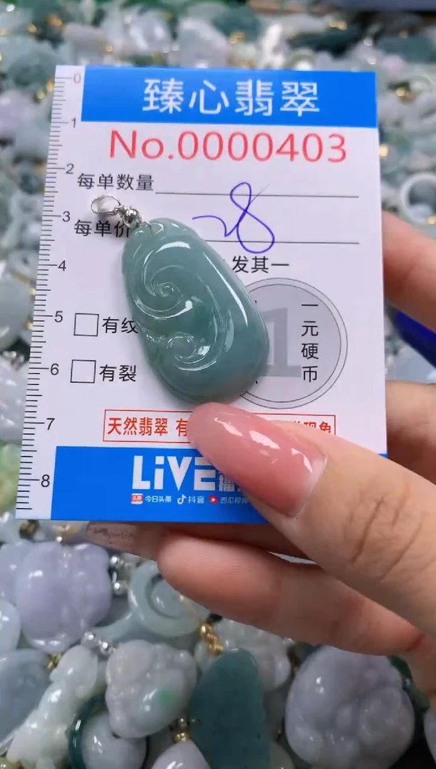 翡翠未镶嵌颈饰403