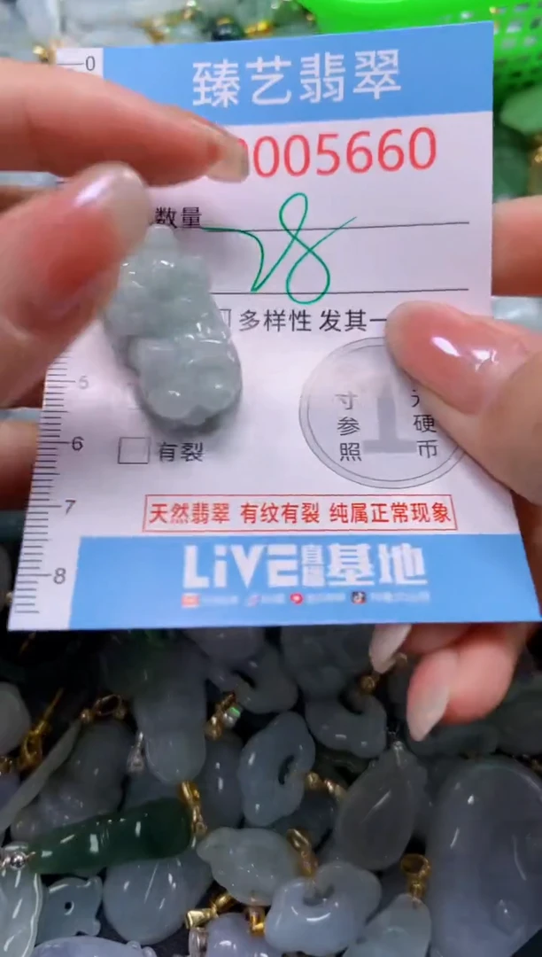 颈饰未镶嵌翡翠5660