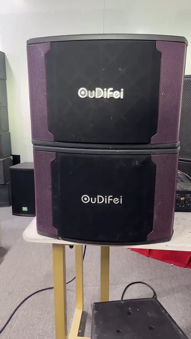 8新不包邮 10寸卡包音响  KTV音箱一对   运费到付