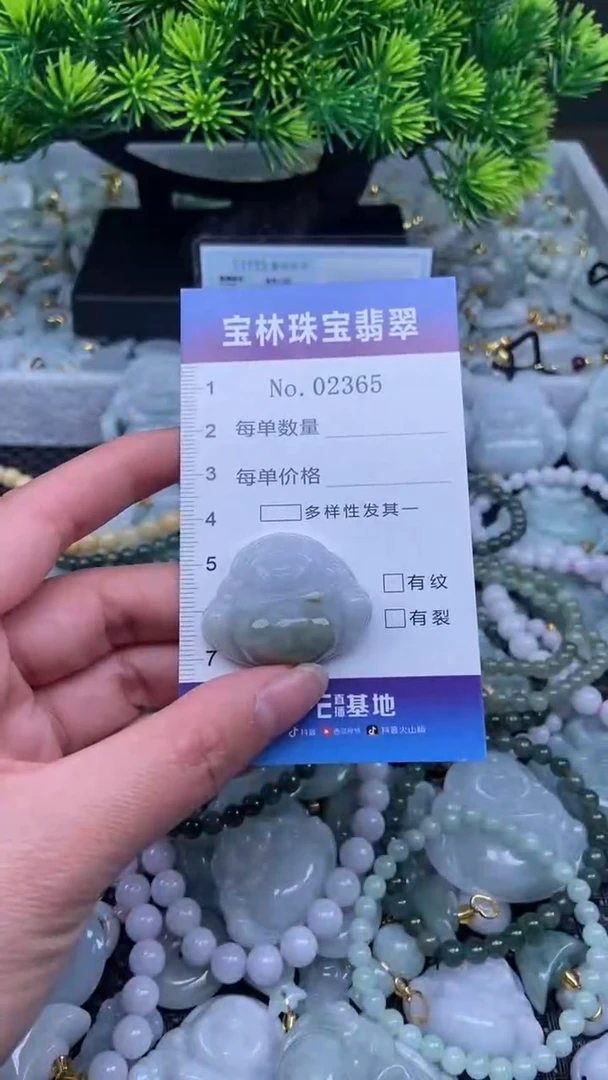 颈饰未镶嵌翡翠天然缅甸翡翠2365