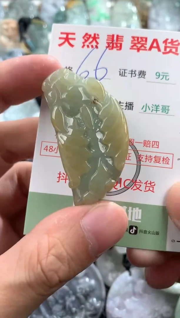 翡翠未镶嵌吊坠(不含链)1