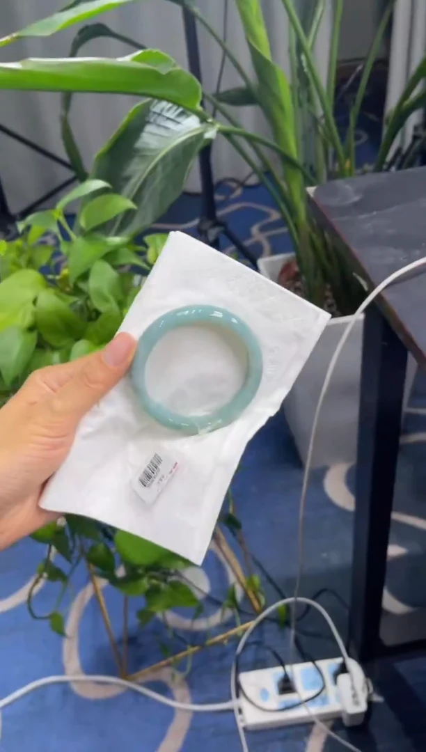 未镶嵌手镯翡翠2743