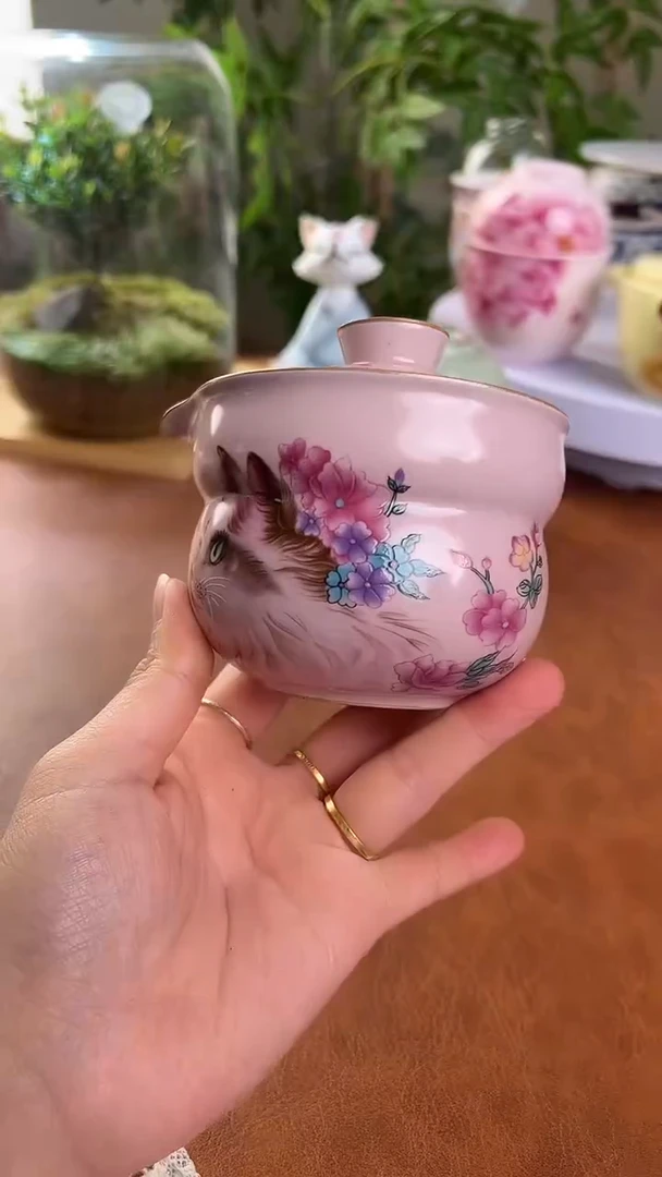 【闪购商品】老实人茶具铺快客