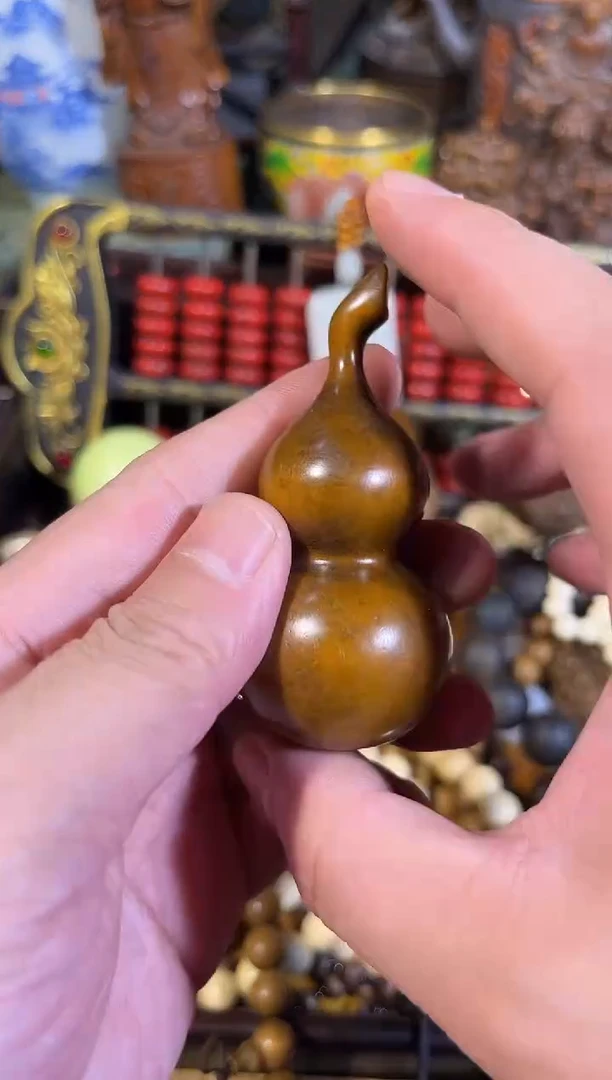 黄杨木1111111111111111111