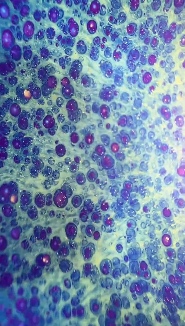 茶盏14薪匠古窑开窑现场1000