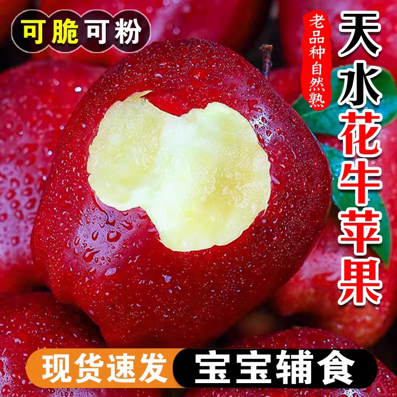 现摘现发甘肃花牛苹果正宗5斤带箱应季新鲜水果包邮【秋季尝鲜】
