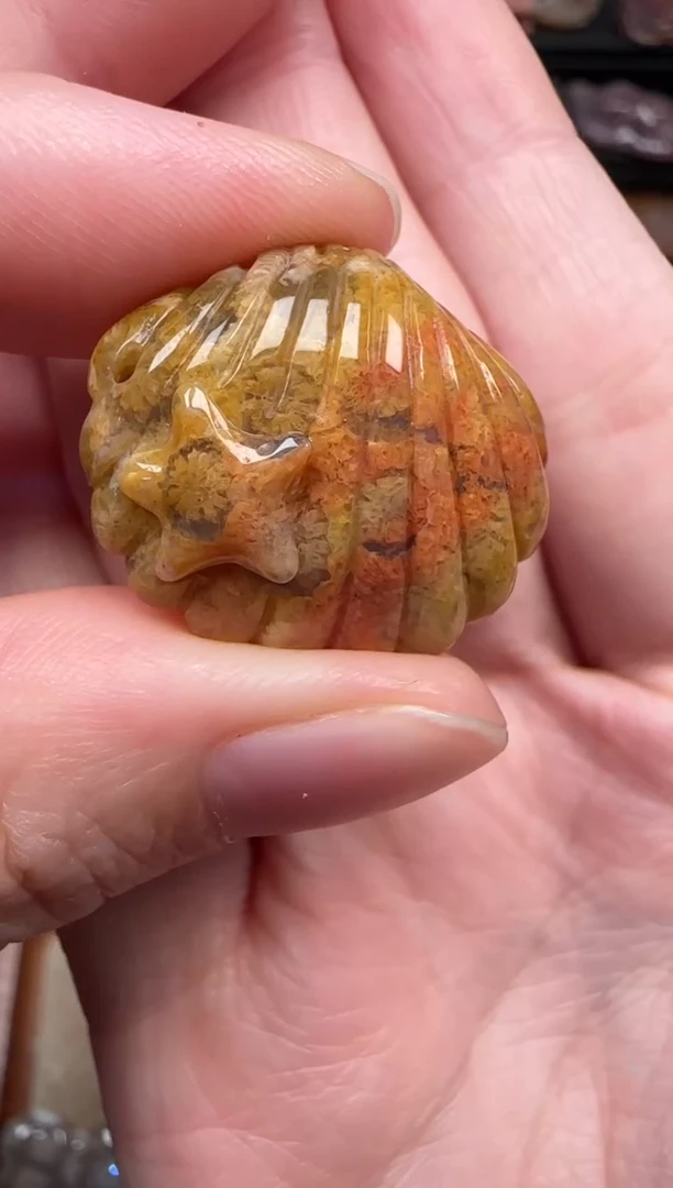 颈饰未镶嵌硅化珊瑚（珊瑚玉）810