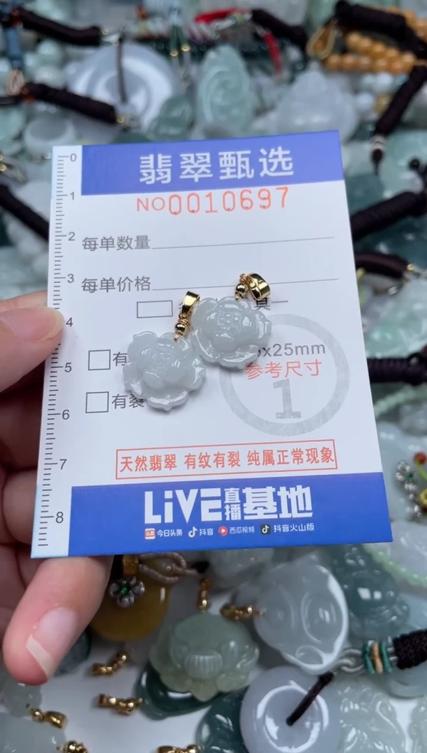 颈饰未镶嵌翡翠10697