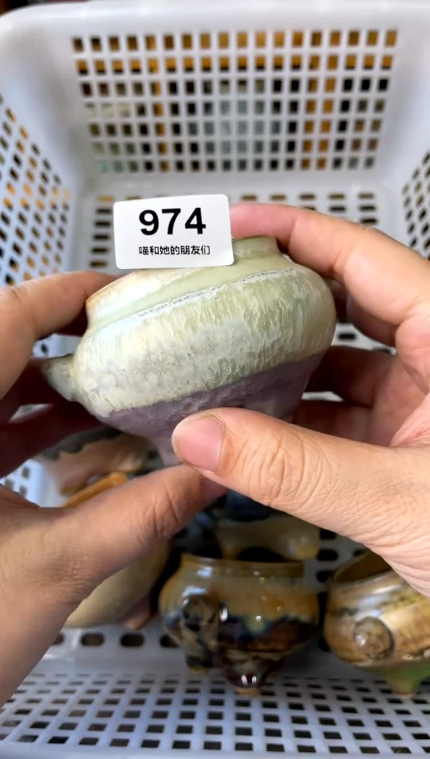 【闪购商品】陶974
