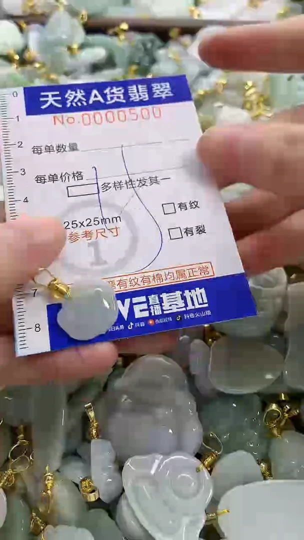 颈饰未镶嵌翡翠纯天然a货翡翠