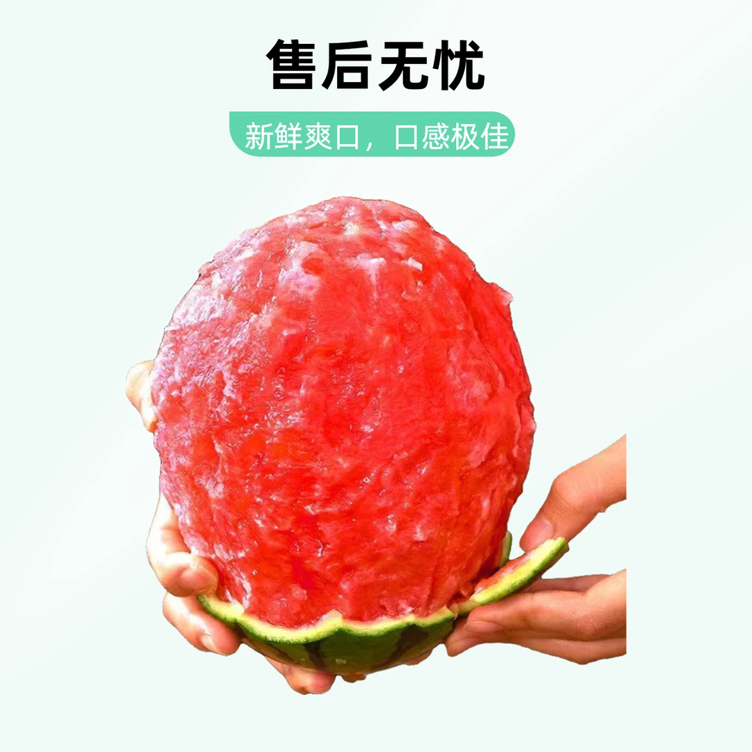 【新融品质】新鲜小吊瓜 香甜可口春天必入海南省 两斤甜瓜