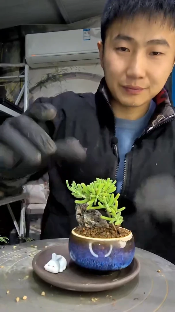 挚***?中青园艺一物一拍花109