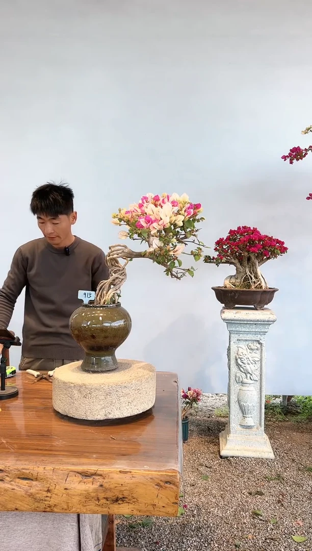 【闪购商品】aa915