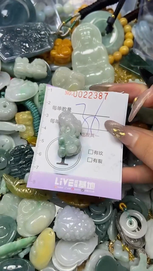 【闪购商品】翡翠颈饰未镶嵌闪购0022387