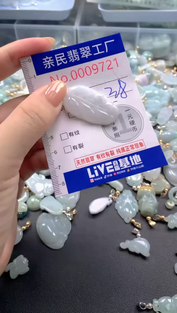 颈饰未镶嵌翡翠9721