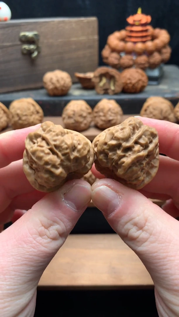 核桃8号 边36肚39怀柔蛤蟆头 （全品无修）