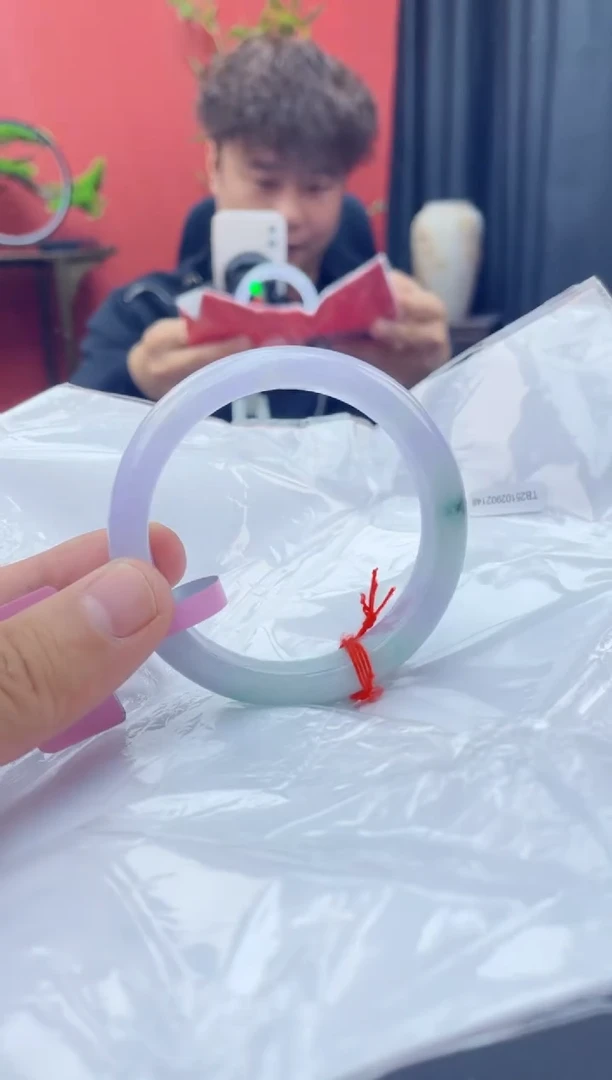 未镶嵌手镯翡翠9