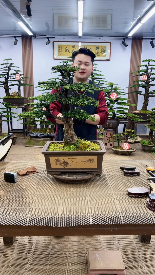 【闪购商品】0000000