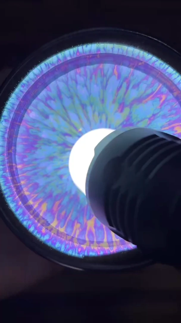 茶盏建盏茶器主人杯