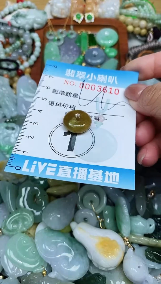 【闪购商品】翡翠颈饰未镶嵌闪购0003610多样性发其一