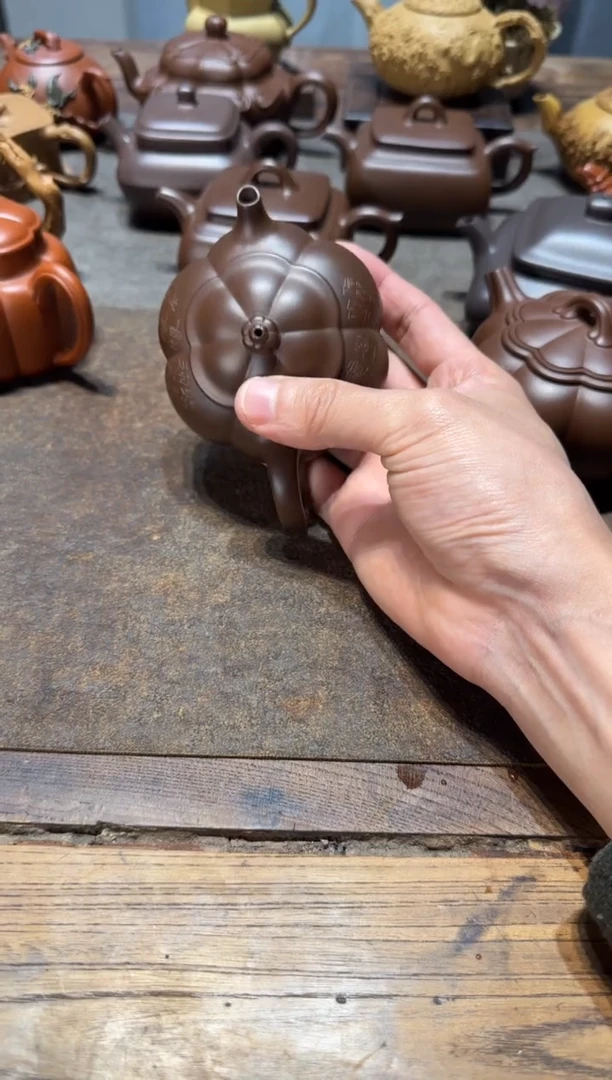 茶壶紫砂星*七大鱼海棠