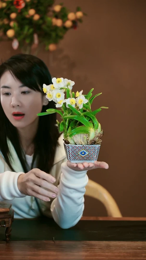 【闪购商品】盆景雕刻水仙