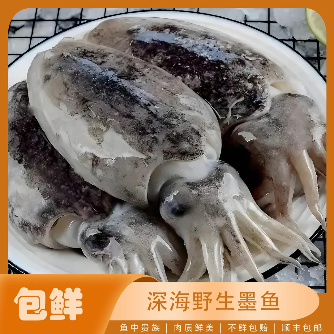 海众鲜森湛江本地海鲜【野生墨鱼】顺丰冷链包邮 直播现拍现称