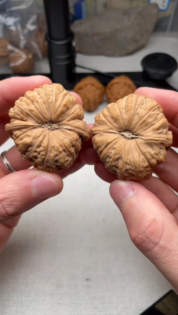 把件文玩核桃南瓜墩