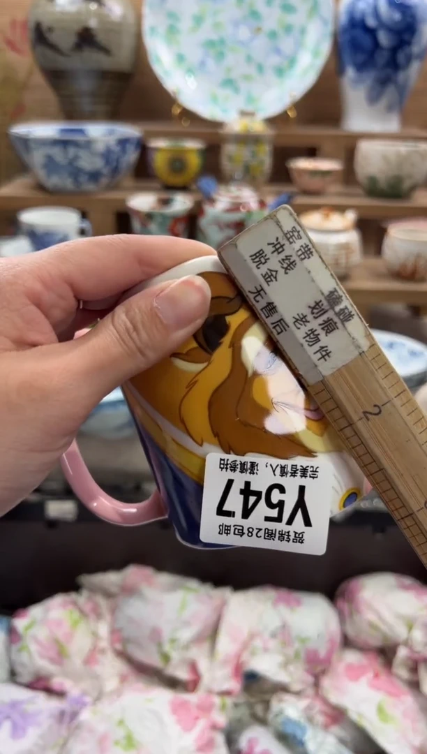 瓷片鱊*     Y547