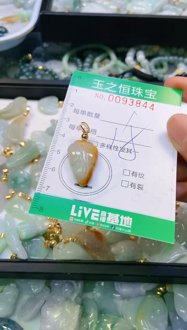 翡翠未镶嵌颈饰闪购0093844