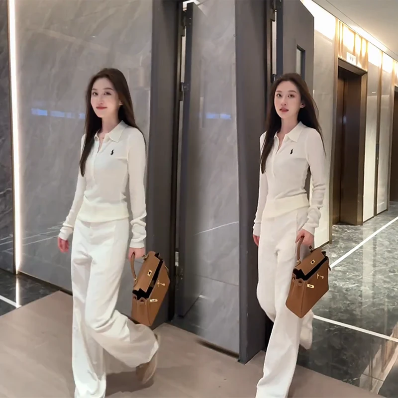 秋季网红时尚韩系针织长袖设计感半开领上衣高级感洋气炸街两件套